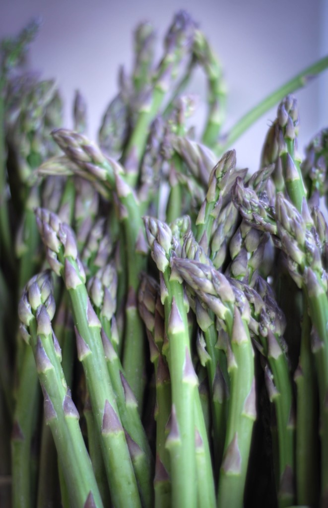 Baltimore Farmer's Market