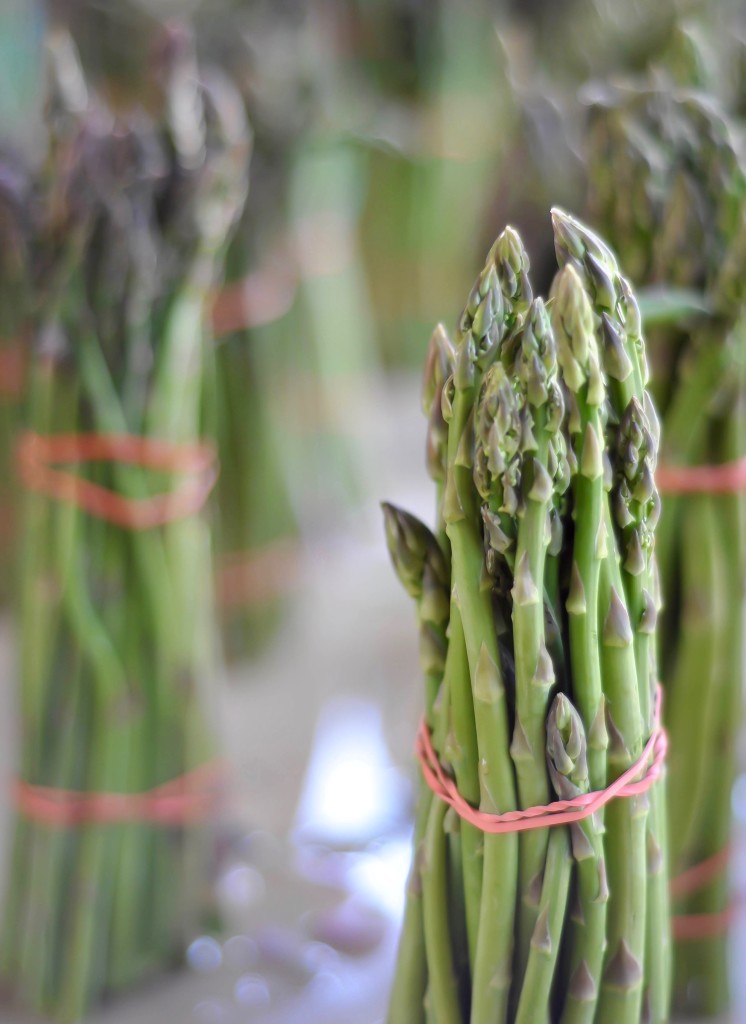 Baltimore Farmer's Market