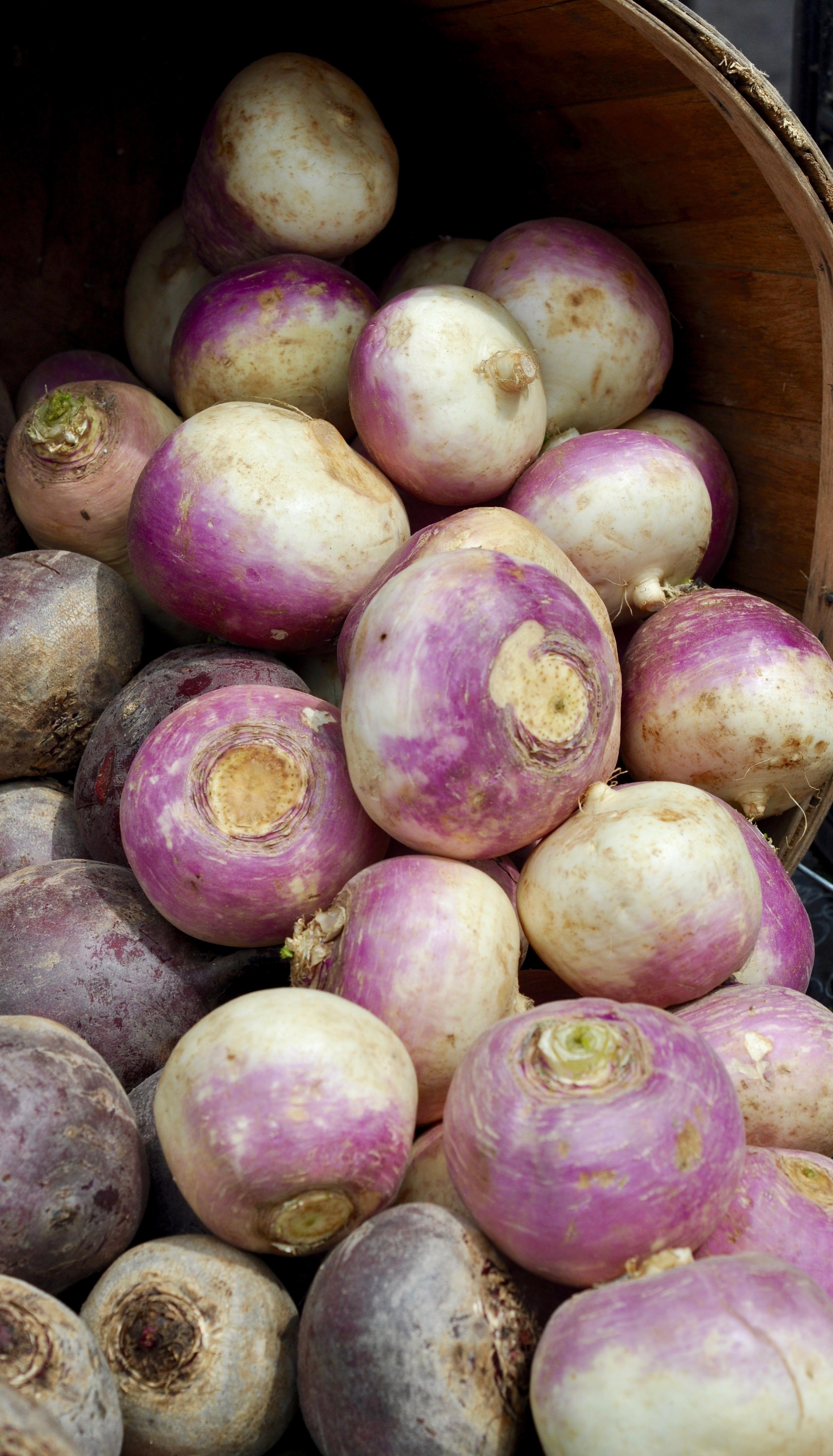 Farmer's Market: Del Ray Alexandria, Virginia