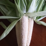 Grilled Mexican Corn on the Cob