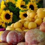 Avila Beach Farmer’s Market