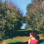 Virginia Apple Orchard